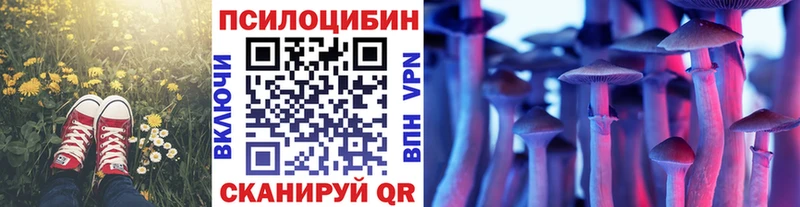 как найти закладки  Первомайск  darknet клад  Псилоцибиновые грибы Cubensis 